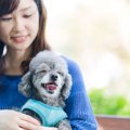 犬は「人」をどうや…