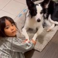 『3歳の娘と犬が見当…