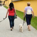ただの運動や排泄だ…