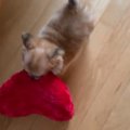 みんなにハートをお…