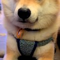バーで酔い潰れてし…