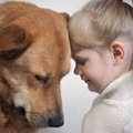 犬が寄ってくるのは…