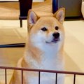 ワガママばかり言う…