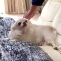 気持ちが態度に出や…