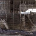 砂漠地帯のごみ集積…