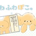 ふわふわぽこ。【第4…