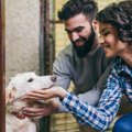 保護犬を迎える時に…