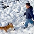 雪の中で子犬を散歩…