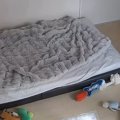 出張のため『犬と離…