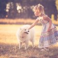 犬が『ンー』と鳴く…