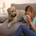 犬アレルギーはなぜ…