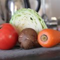 犬のペット食育指導…