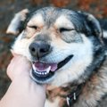 コロナ禍の後、外出…