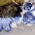 大雨で水没する直前…