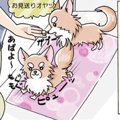 かわうそちわわ。（3…