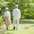 犬を散歩させるとき…
