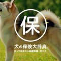 犬の保険大辞典！知…