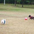 メリットだらけ！ワ…