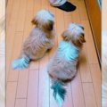 「わくわく！！」お…