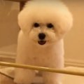 どうしても突っ張り…