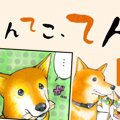 てんてこ、てん。【…