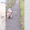 【感動】交通事故で…