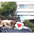 東京・青山で発見！…