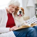 犬より先に飼い主が…