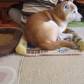 検証結果に思わず感…
