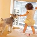 犬が1歳の娘の面倒を…