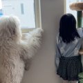 学校から帰るとすぐ…
