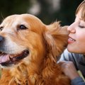 犬は飼い主の『声の…