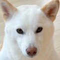 何気なく振り向いた…