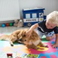 犬にNGな愛情表現が…