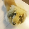 はいチーズ！可愛い…