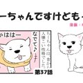 ちーちゃんですけど…