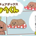 デカチュアダックス…
