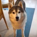 【罠に注意】お風呂…