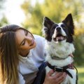 犬が嬉しい気持ちに…