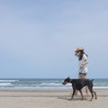 大型犬を室内で飼う…