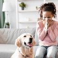 犬から人間に感染す…