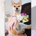 ヌッシに抱っこされ…