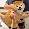 病院で注射を打たれ…