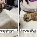 「赤ちゃんには怒ら…