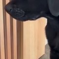 『職場で見て少し涙…