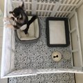 ドッグサークルをDIY…