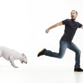 犬から『嫌がられる…