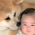 流行ハッシュタグか…