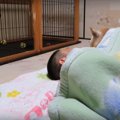 飼い主さんと眠る先…