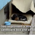 長くて孤独な路上生…